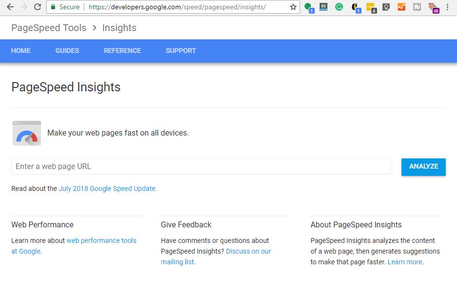 Screen shot of the PageSpeed Insights website.